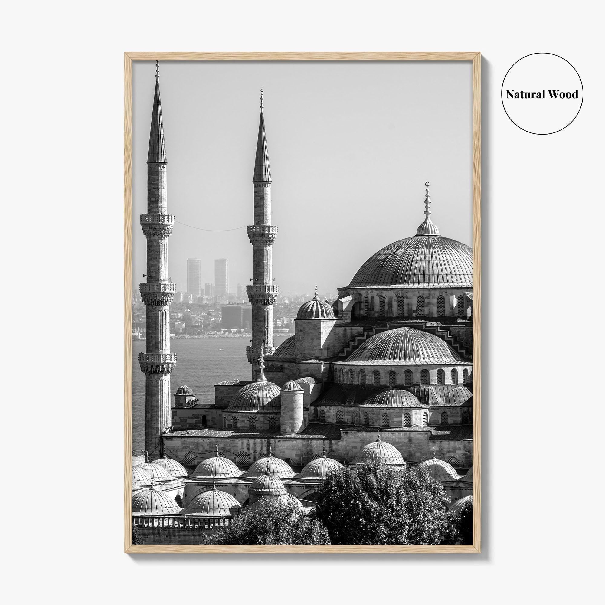 Istanbul Skyline Black and White Fine Art Photo Print, Blue Mosque, Bosphorus, Turkey Poster
