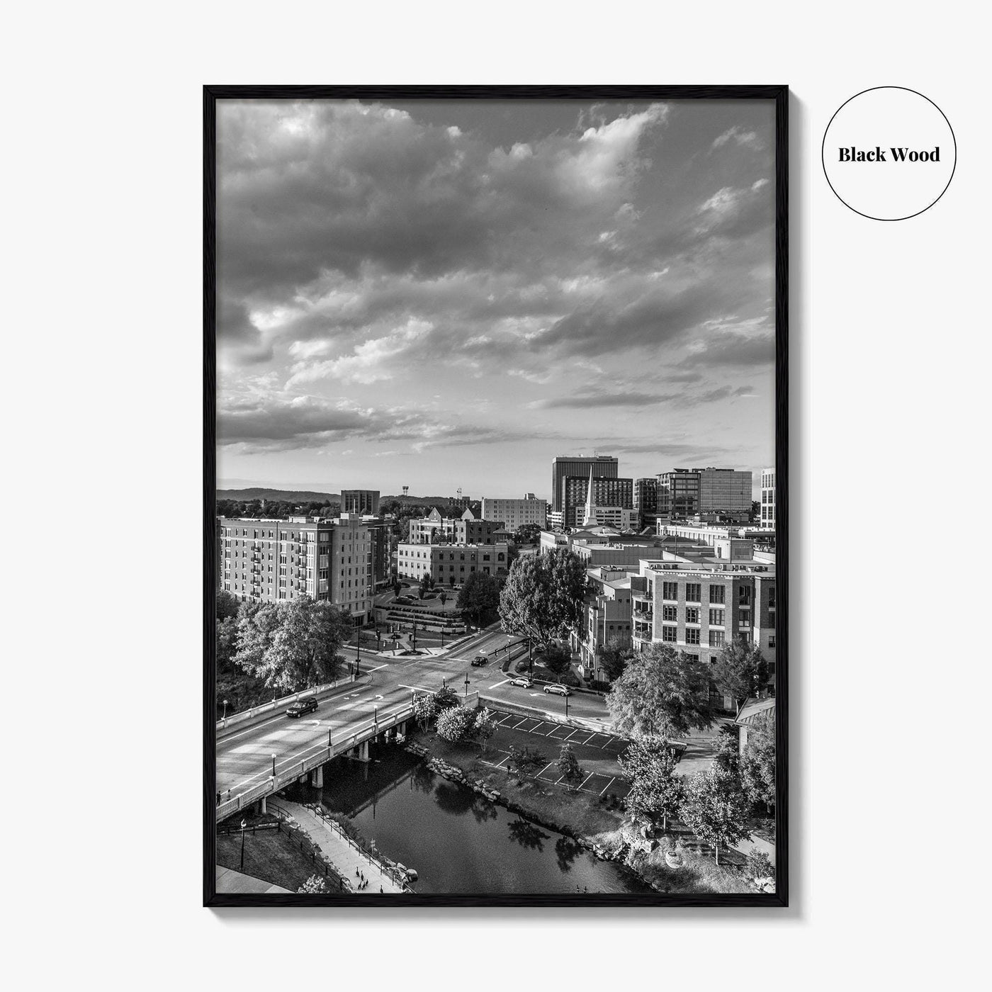 Greenville Skyline Black and White Fine Art Photo Print, South Carolina, SC Poster