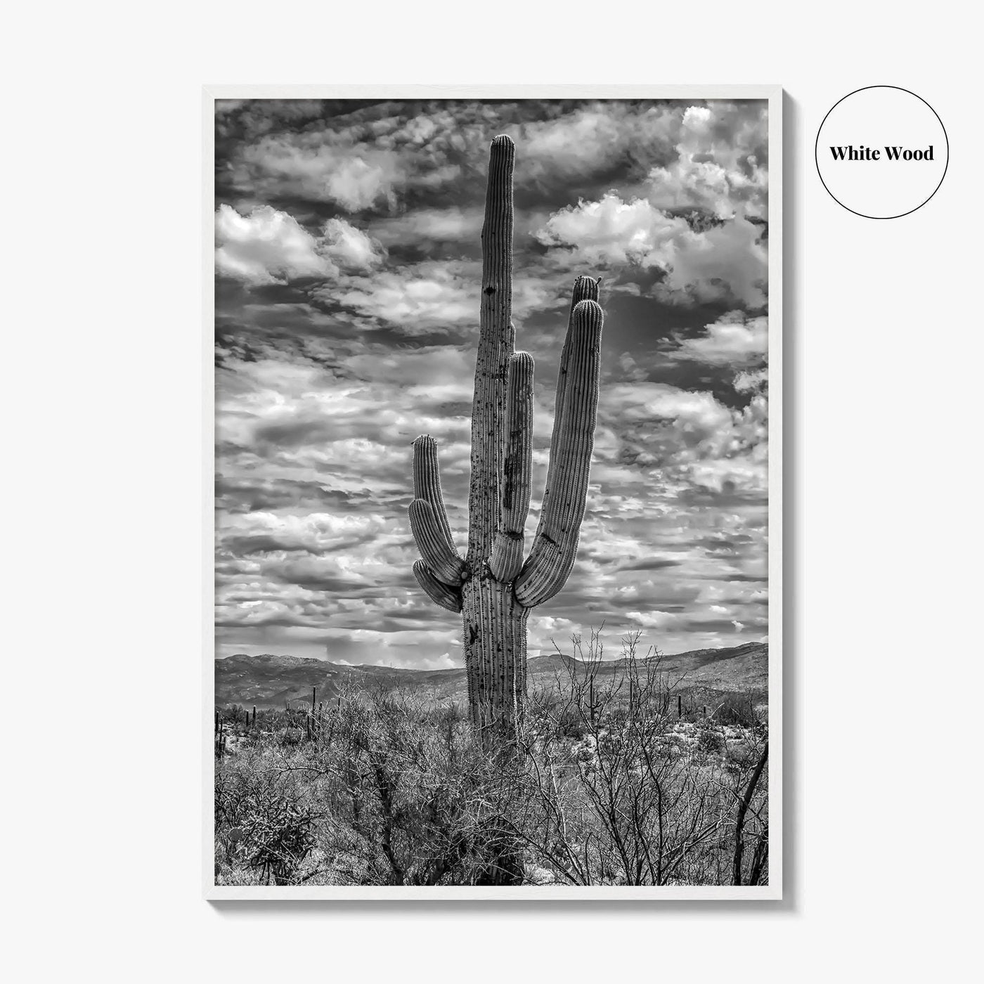 Saguaro National Park Black and White Fine Art Photo Print, Tucson Sonoran Desert Poster