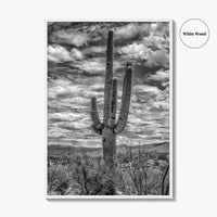 Saguaro National Park Black and White Fine Art Photo Print, Tucson Sonoran Desert Poster