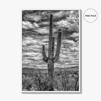 Saguaro National Park Black and White Fine Art Photo Print, Tucson Sonoran Desert Poster