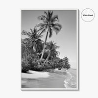 Panama Black and White Fine Art Photo Print, Central America Poster