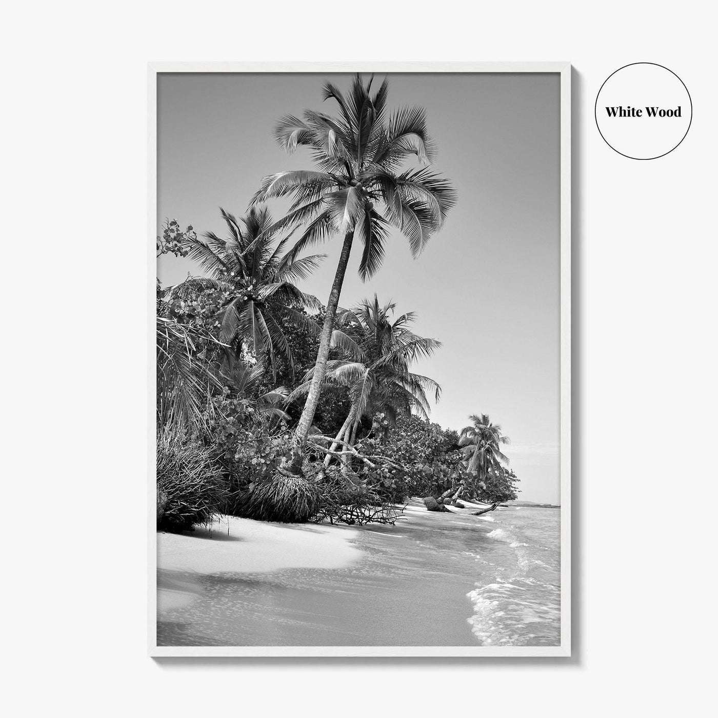 Panama Black and White Fine Art Photo Print, Central America Poster