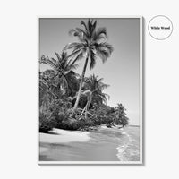 Panama Black and White Fine Art Photo Print, Central America Poster