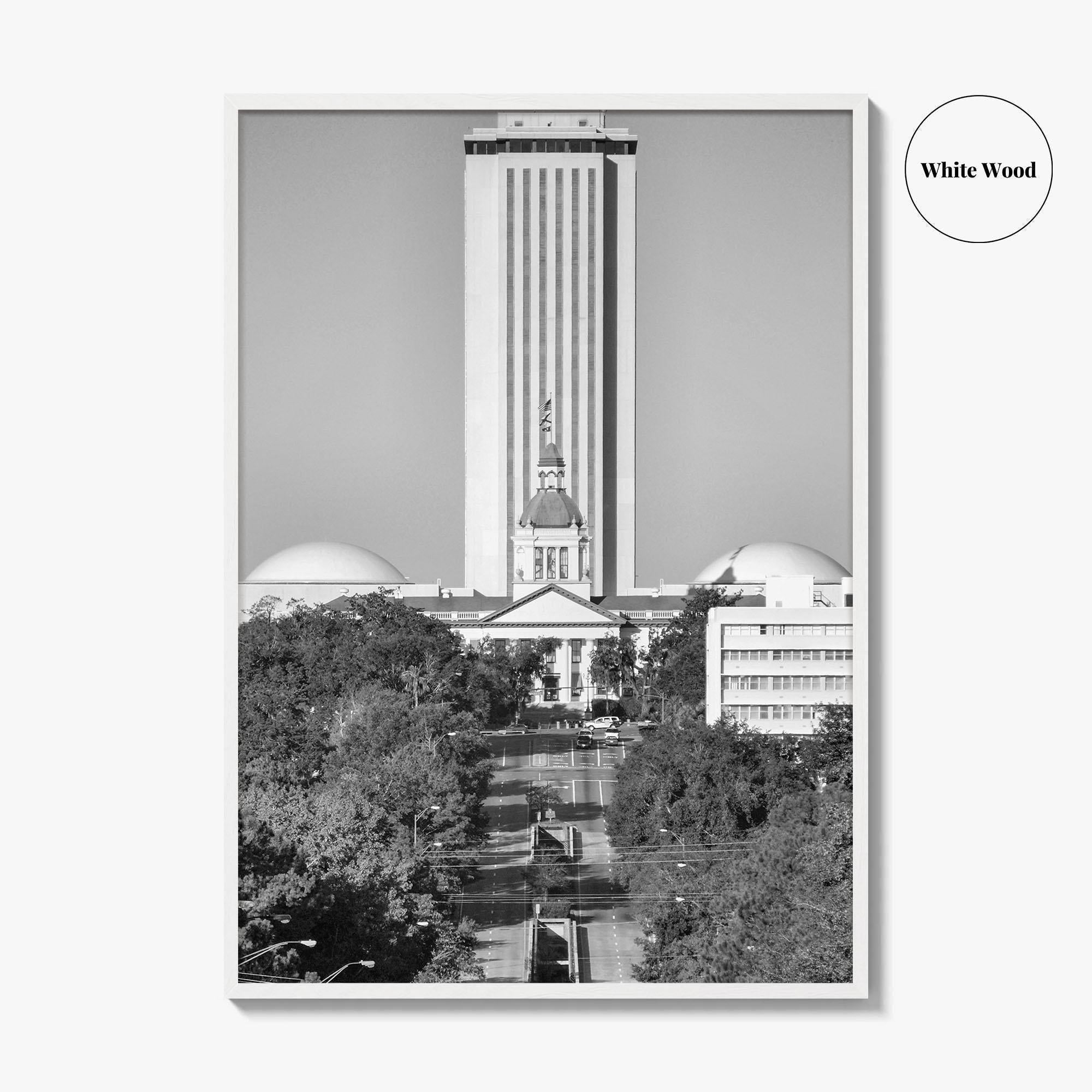Tallahassee Black and White Fine Art Photo Print, Florida Capitol Buildings, Florida Poster