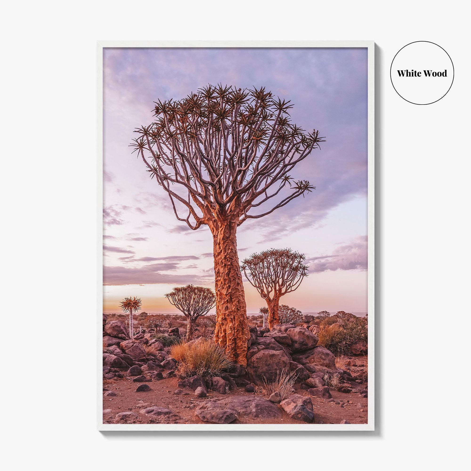 Namibia Fine Art Photo Print, Quiver Tree Forest, Keetmanshoop, Africa Wall Decor Poster