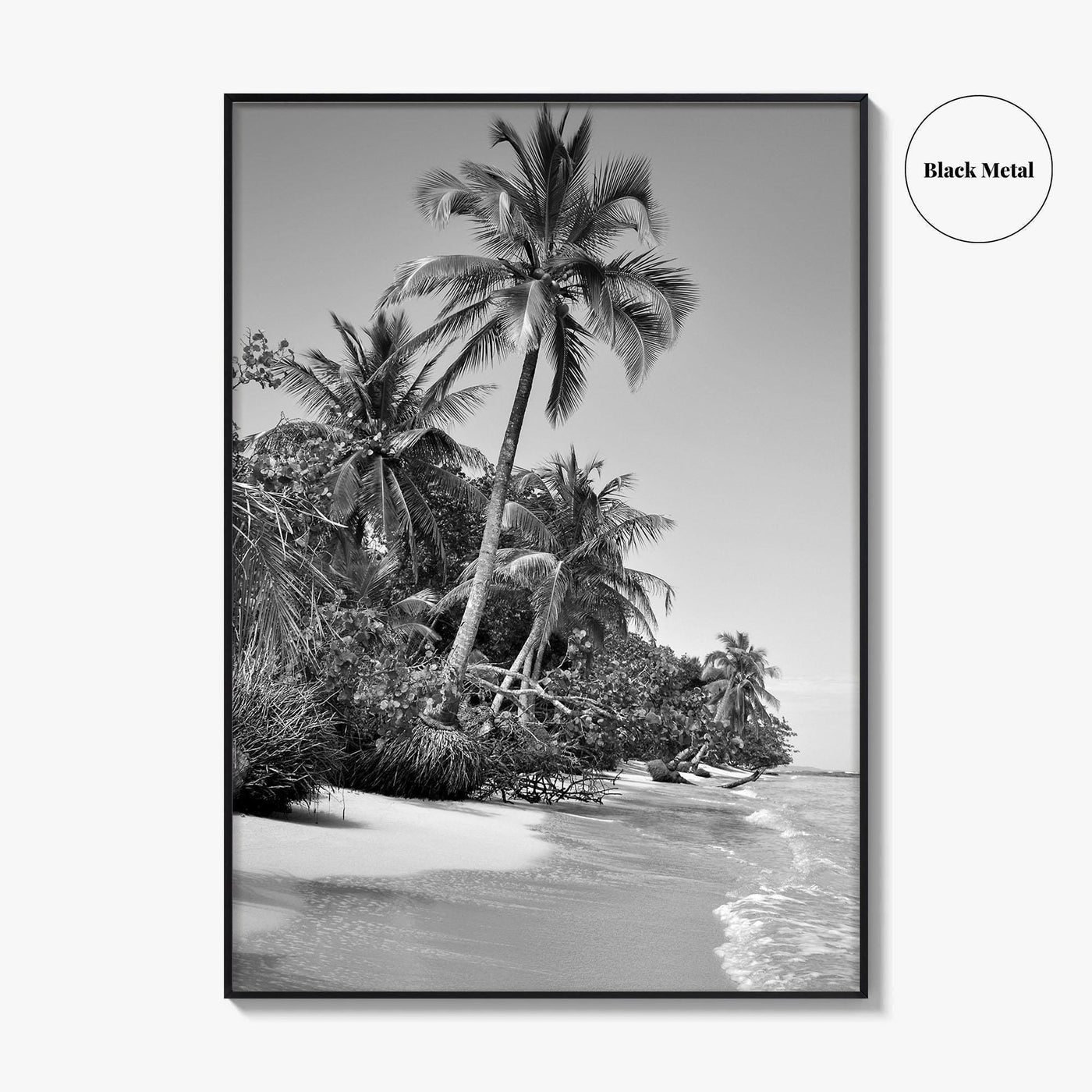 Panama Black and White Fine Art Photo Print, Central America Poster