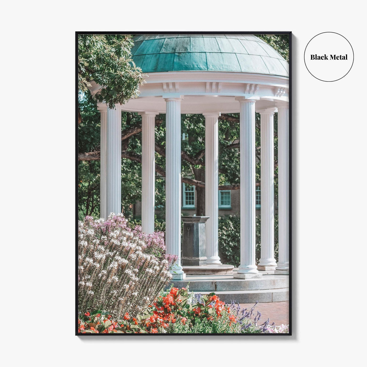 Chapel Hill Fine Art Photo Print, Old Well, UNC, North Carolina Wall Poster