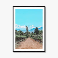 Argentina Fine Art Photo Print, Mendoza Malbec Vineyard, Andes Mountains, Lujan de Cuyo