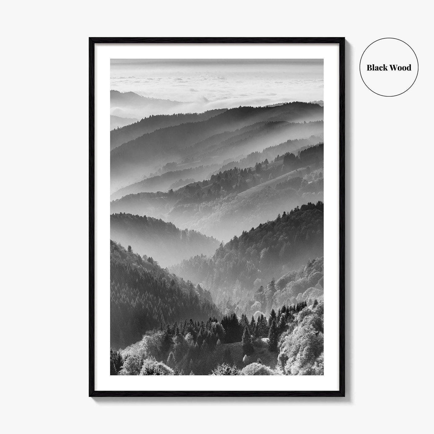 Schwarzwald Black and White Fine Art Photo Print, Baden-Württemberg Poster