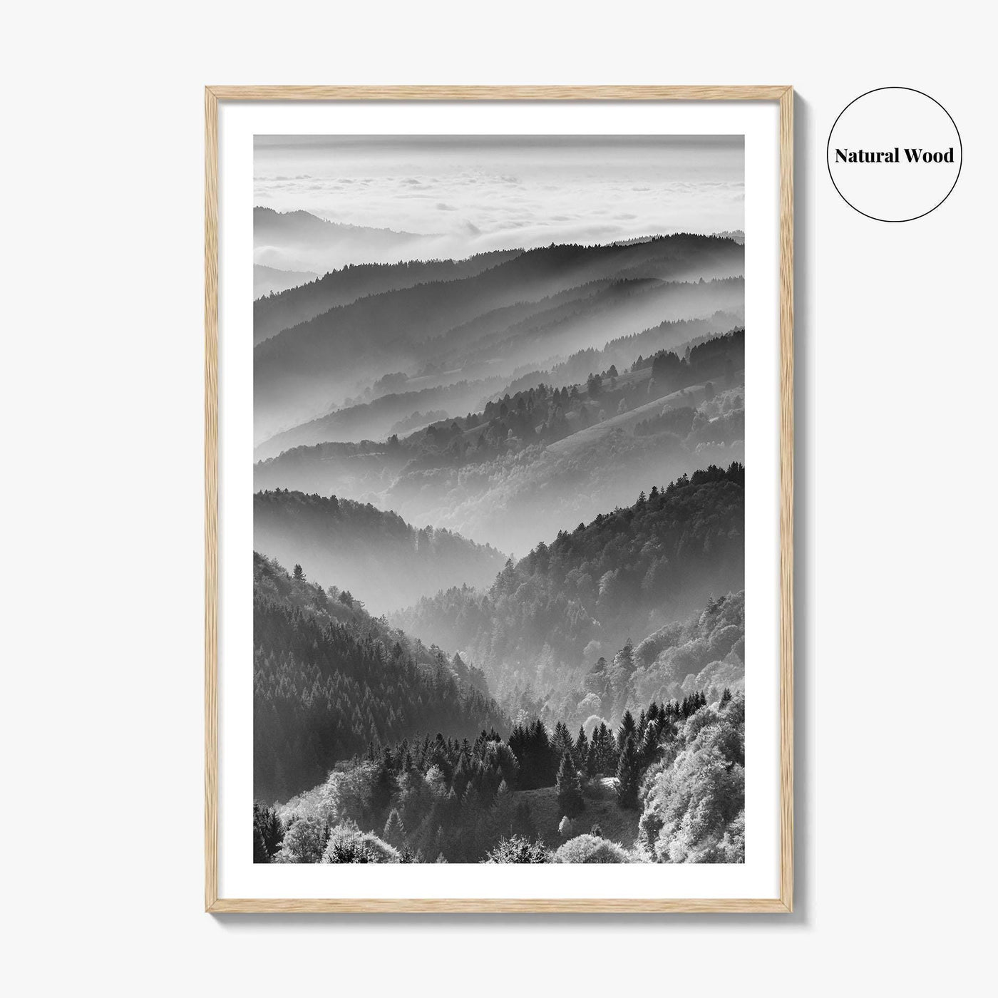 Schwarzwald Black and White Fine Art Photo Print, Baden-Württemberg Poster