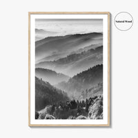 Schwarzwald Black and White Fine Art Photo Print, Baden-Württemberg Poster