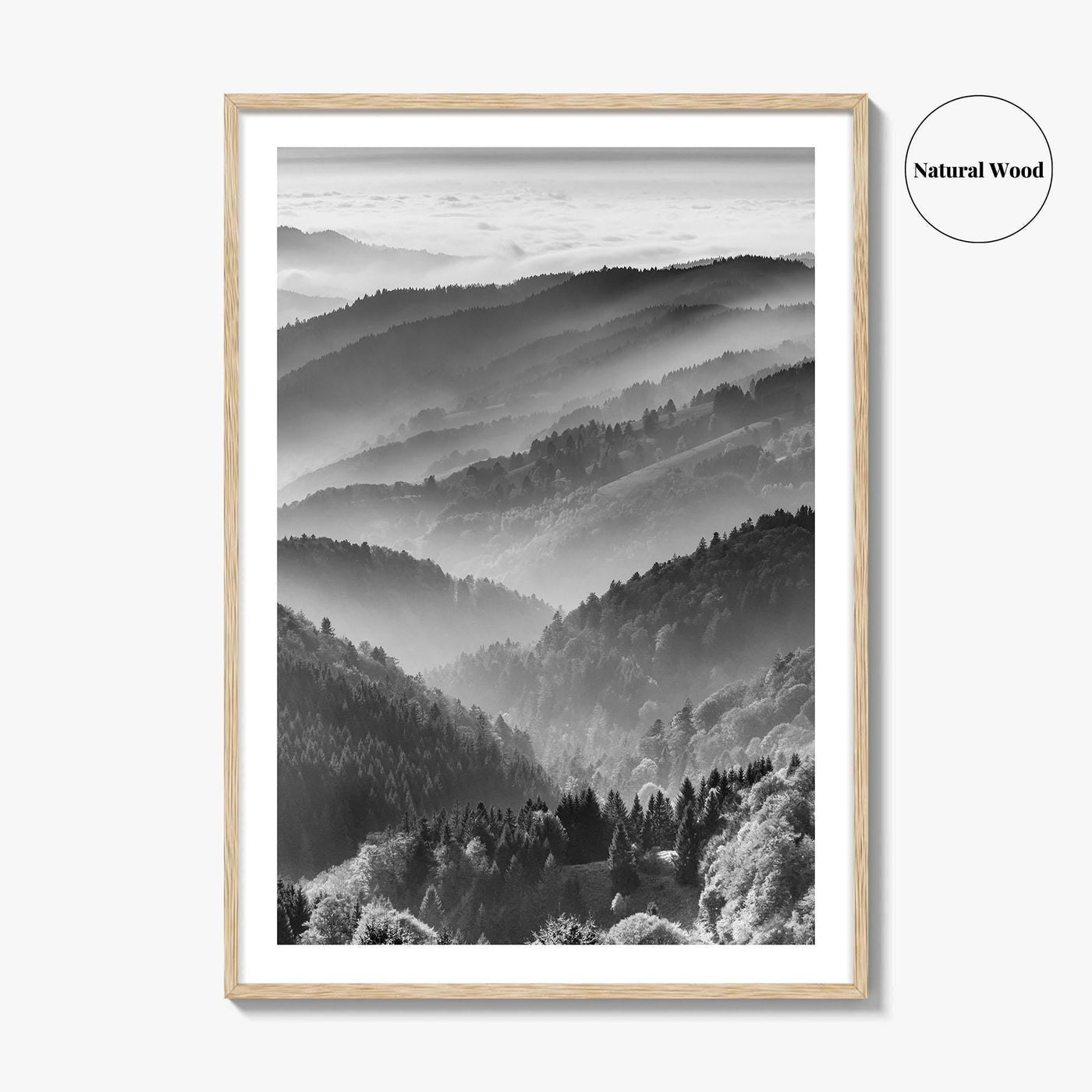 Schwarzwald Black and White Fine Art Photo Print, Baden-Württemberg Poster