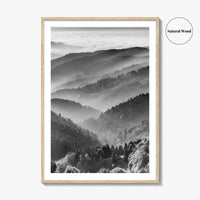 Schwarzwald Black and White Fine Art Photo Print, Baden-Württemberg Poster