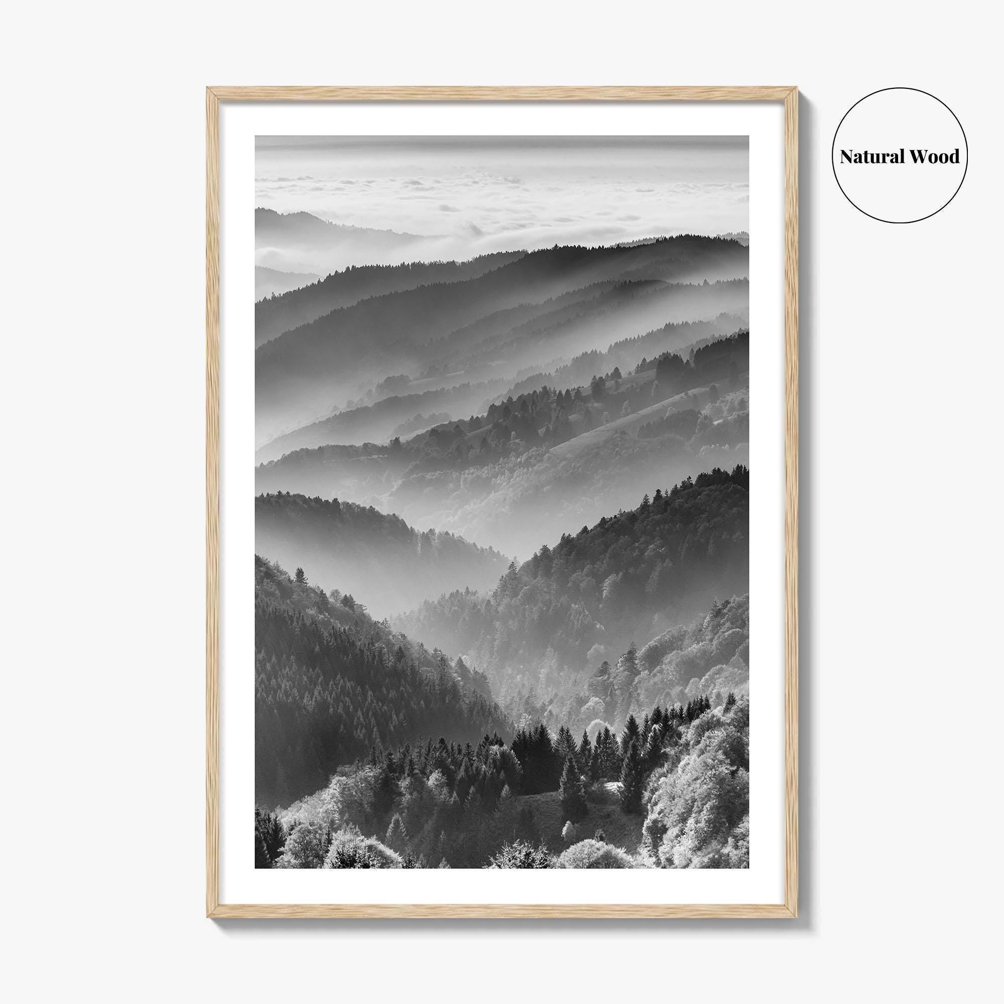 Schwarzwald Black and White Fine Art Photo Print, Baden-Württemberg Poster