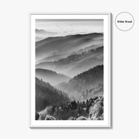 Schwarzwald Black and White Fine Art Photo Print, Baden-Württemberg Poster