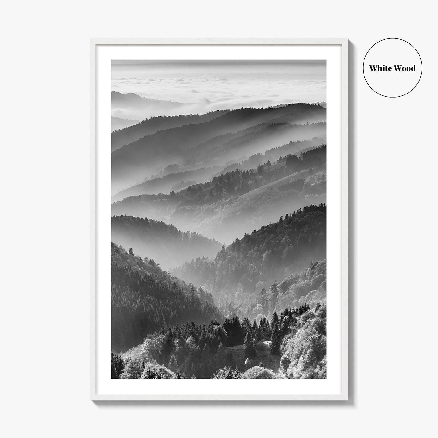 Schwarzwald Black and White Fine Art Photo Print, Baden-Württemberg Poster