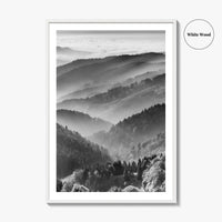 Schwarzwald Black and White Fine Art Photo Print, Baden-Württemberg Poster