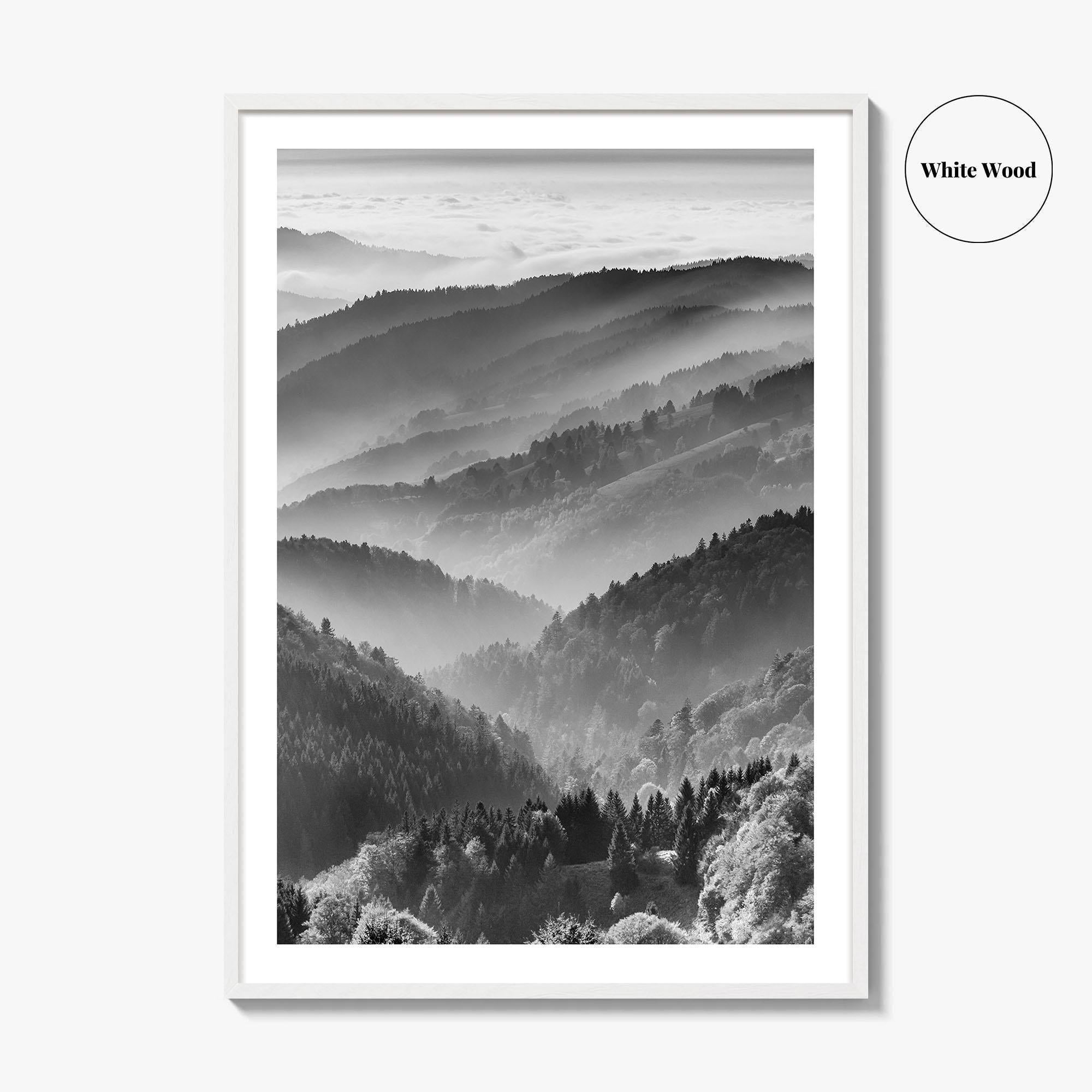Schwarzwald Black and White Fine Art Photo Print, Baden-Württemberg Poster