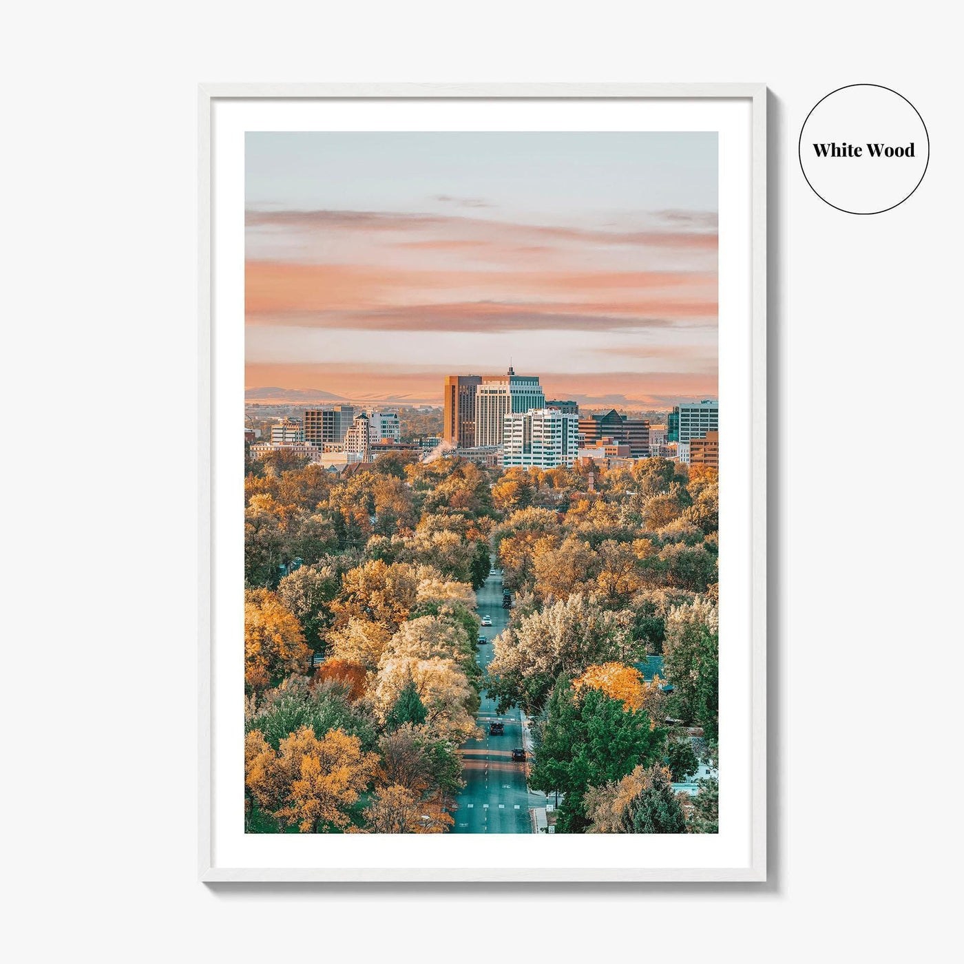 Boise Fine Art Photo Print, Idaho Wall Poster, City of Trees USA