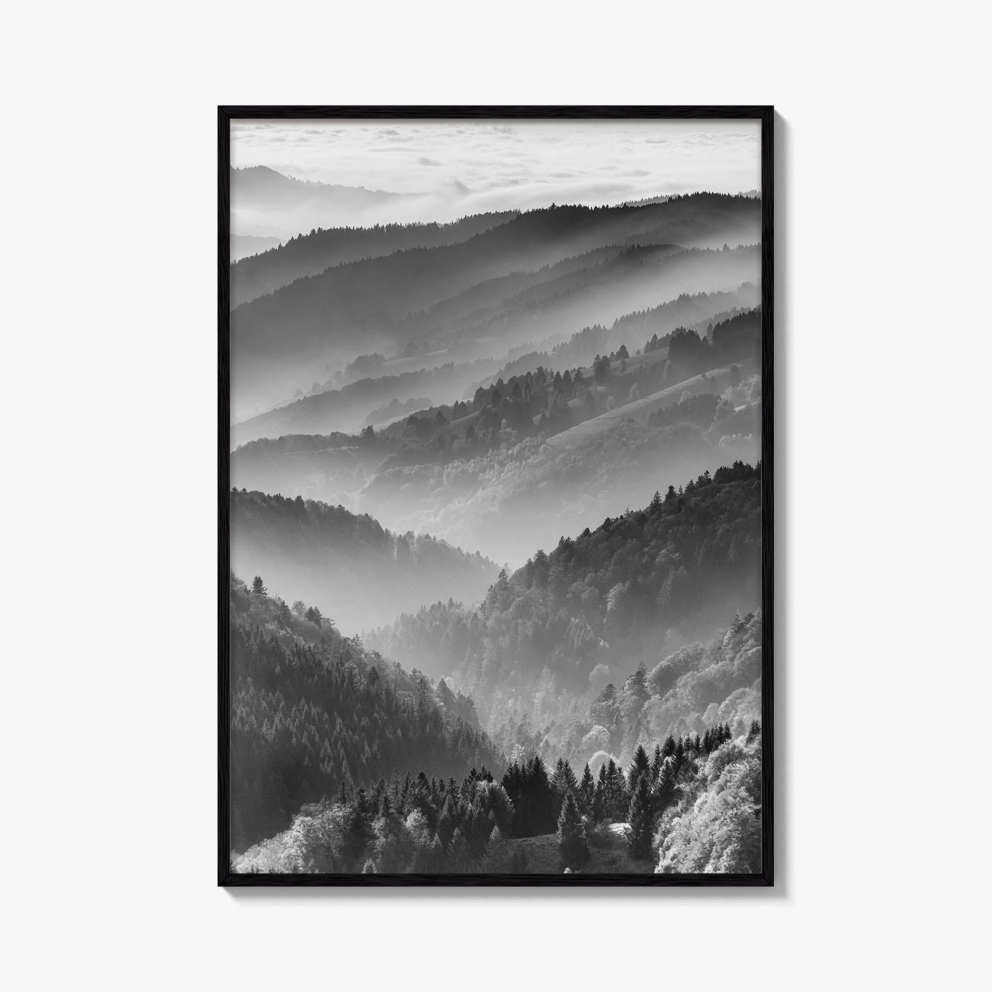 Schwarzwald Black and White Fine Art Photo Print, Baden-Württemberg Poster