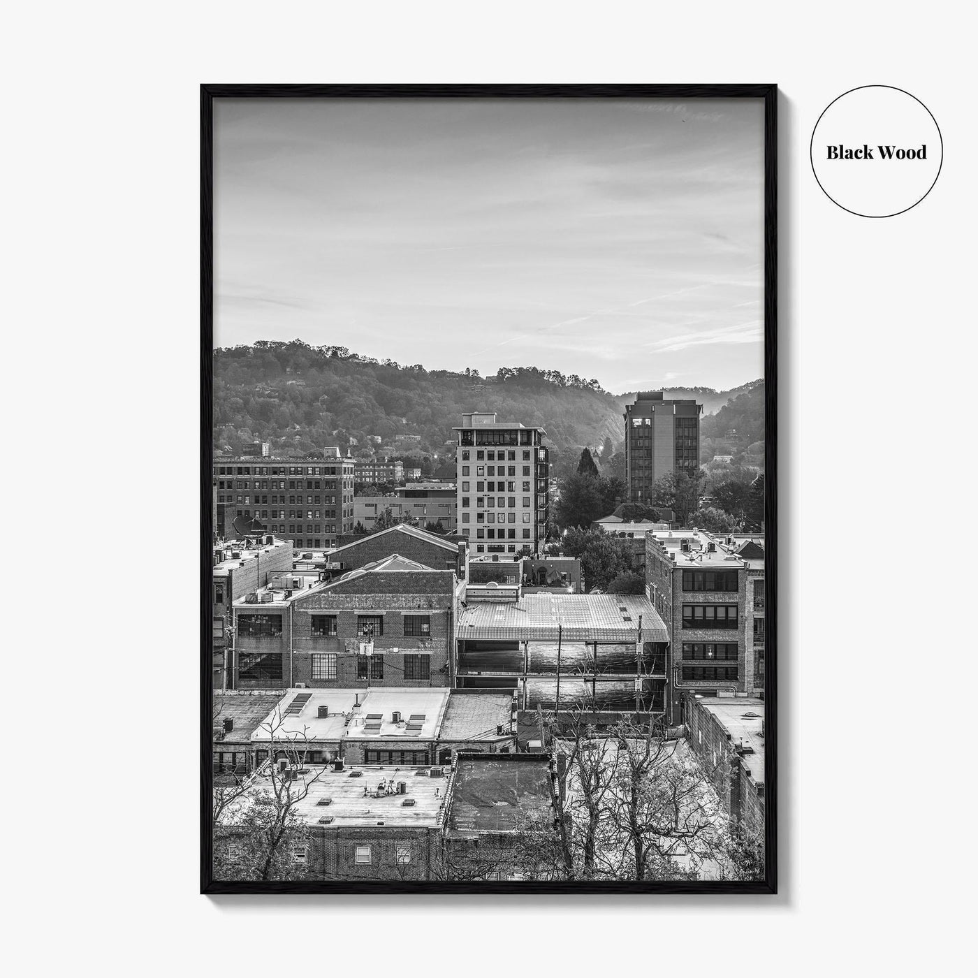 Asheville Skyline Black and White Fine Art Photo Print, Poster, North Carolina USA