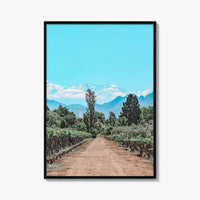 Argentina Fine Art Photo Print, Mendoza Malbec Vineyard, Andes Mountains, Lujan de Cuyo