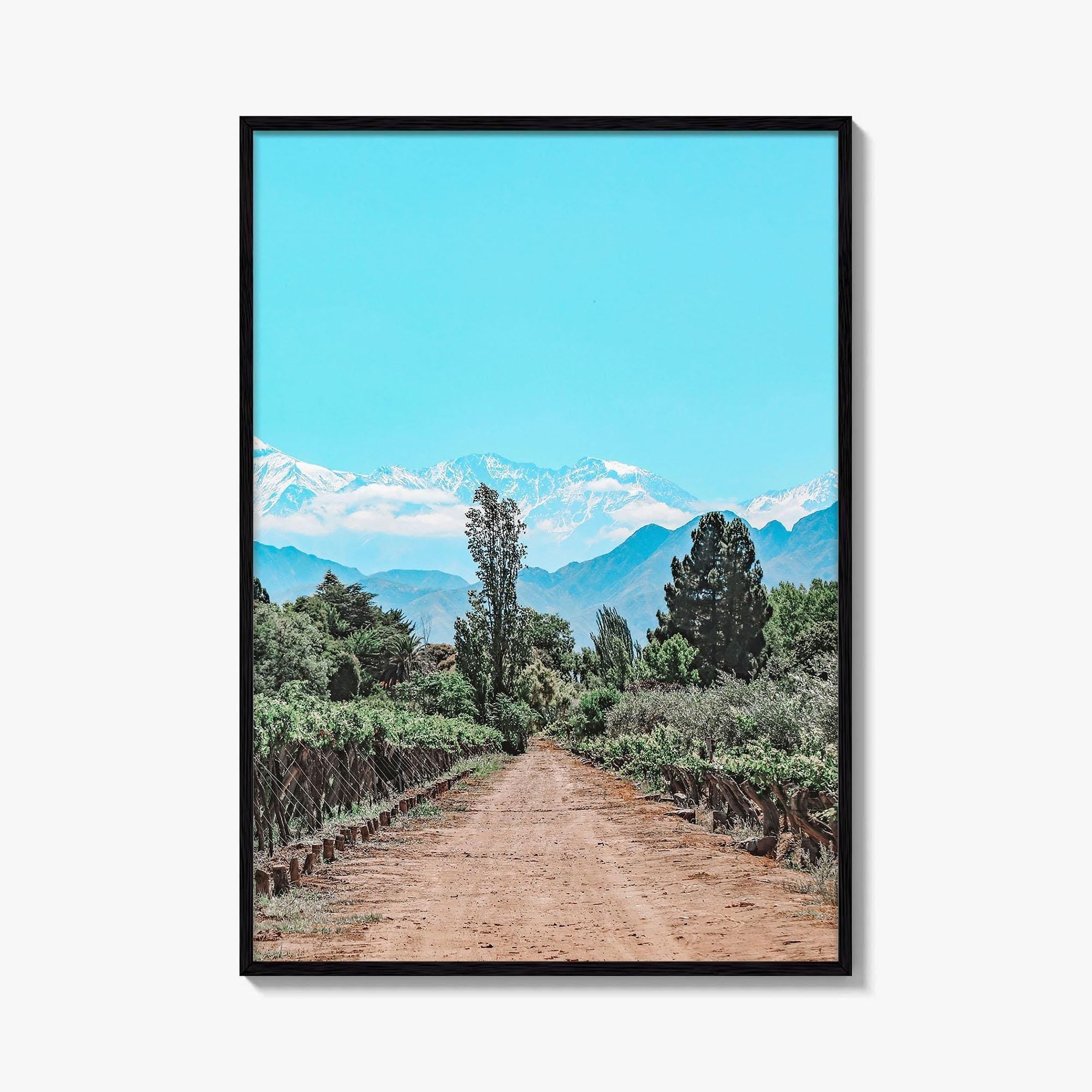 Argentina Fine Art Photo Print, Mendoza Malbec Vineyard, Andes Mountains, Lujan de Cuyo