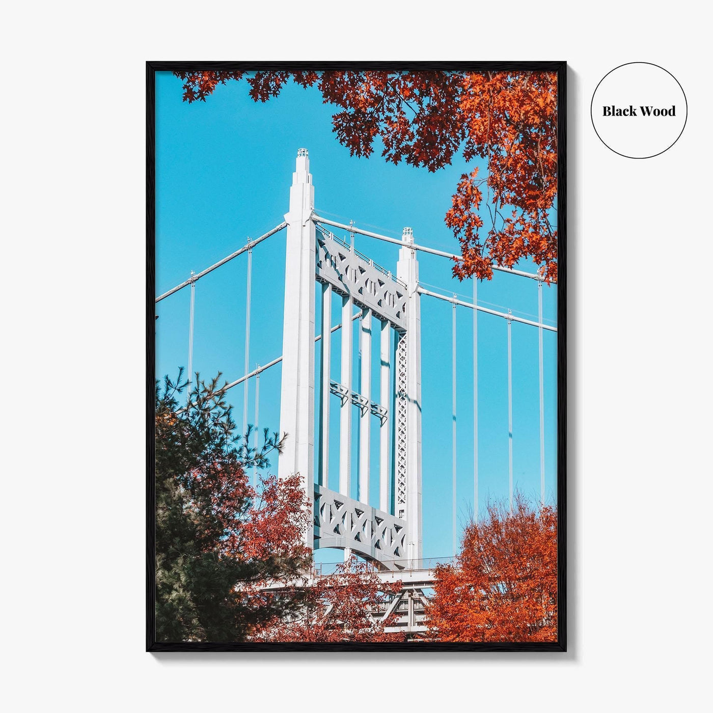 Astoria New York Fine Art Photo Print, Astoria Park, Triborough Bridge Poster
