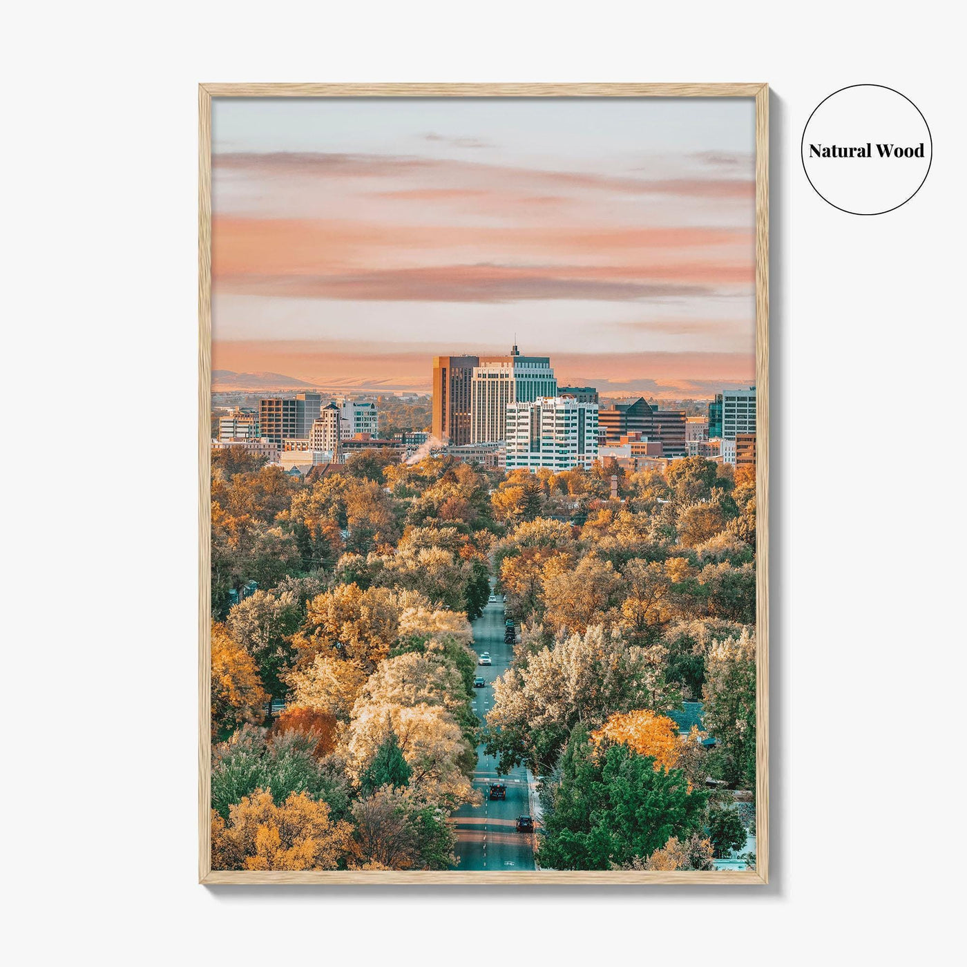 Boise Fine Art Photo Print, Idaho Wall Poster, City of Trees USA