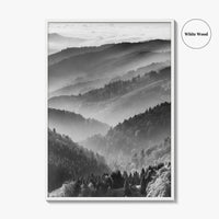 Schwarzwald Black and White Fine Art Photo Print, Baden-Württemberg Poster