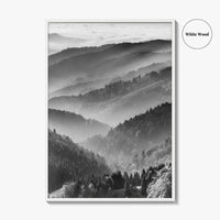 Schwarzwald Black and White Fine Art Photo Print, Baden-Württemberg Poster