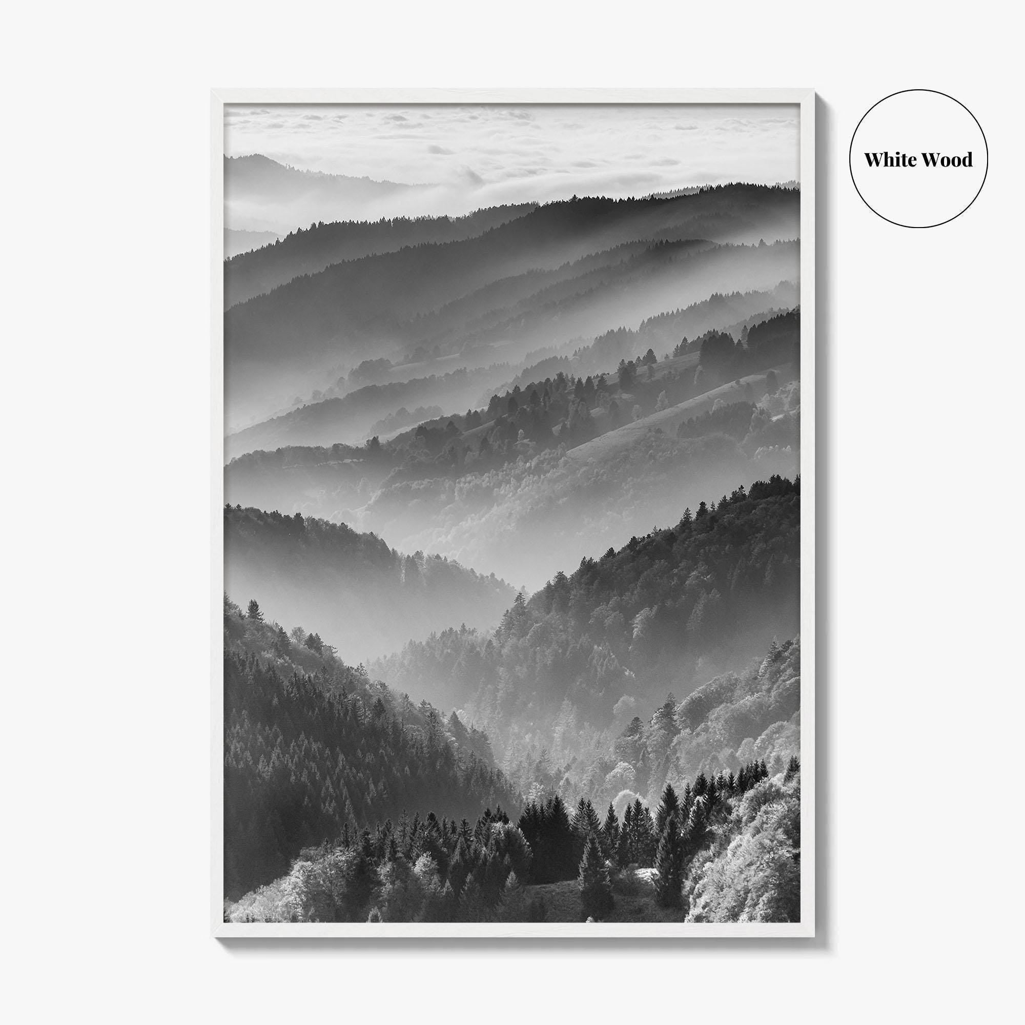 Schwarzwald Black and White Fine Art Photo Print, Baden-Württemberg Poster