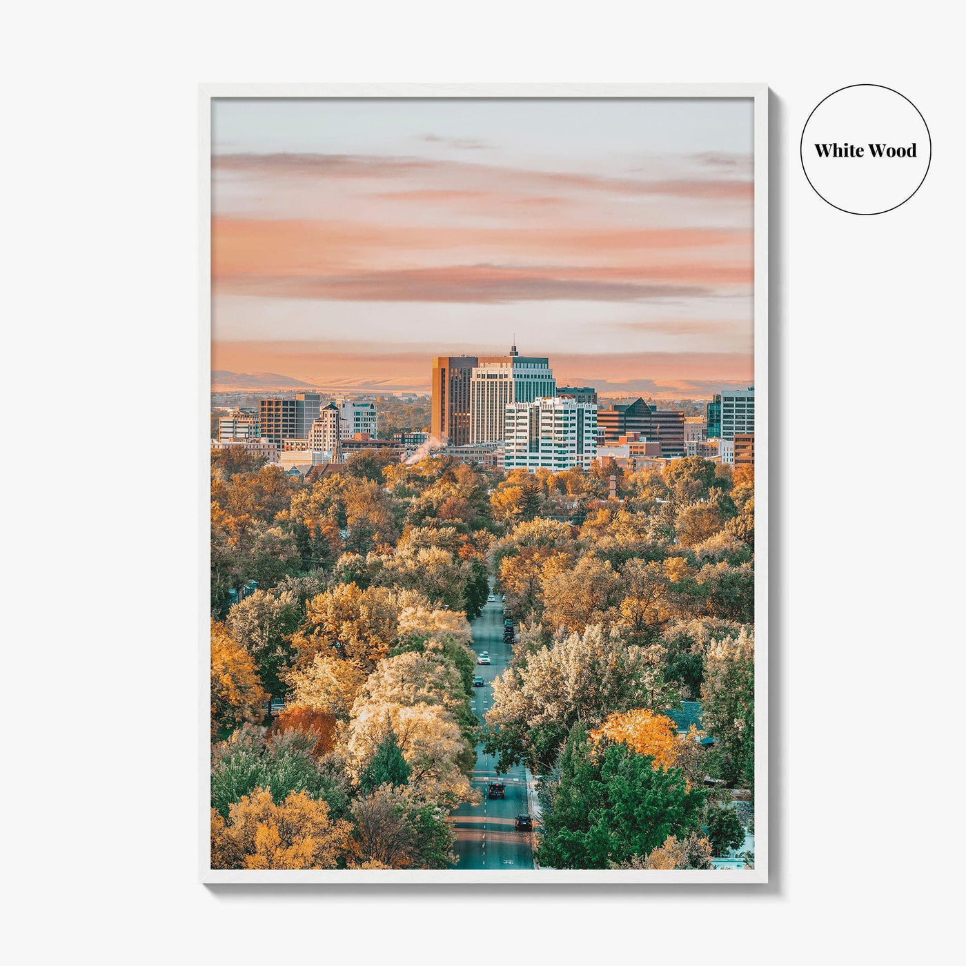Boise Fine Art Photo Print, Idaho Wall Poster, City of Trees USA