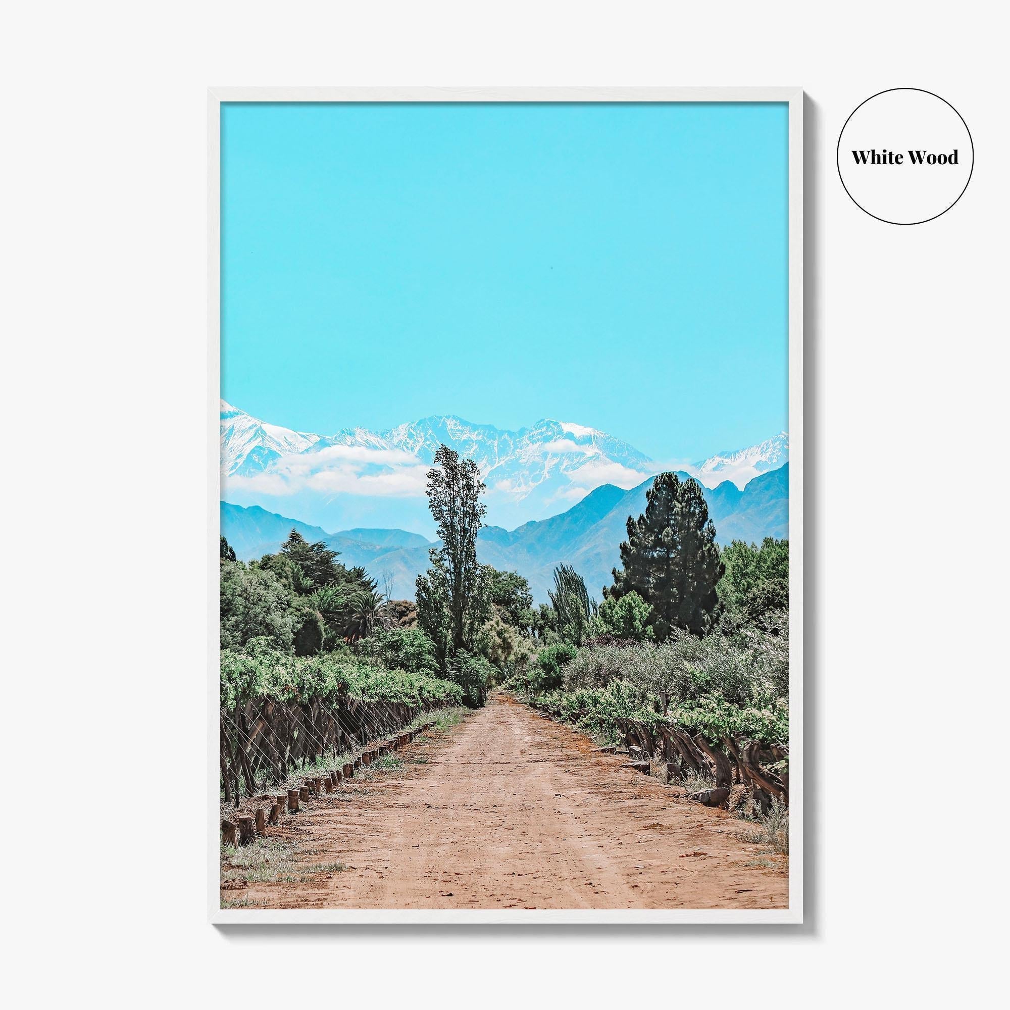 Argentina Fine Art Photo Print, Mendoza Malbec Vineyard, Andes Mountains, Lujan de Cuyo