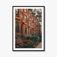 Bedford-Stuyvesant Fine Art Photo Print, Brooklyn Brownstones, NYC Wall Art Poster