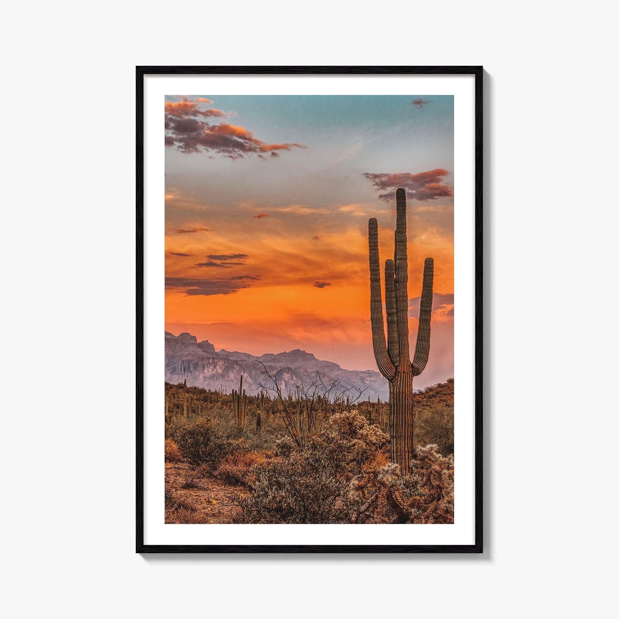 Arizona Fine Art Photo Print, Phoenix Sonoran Desert, USA Wall Decor Poster