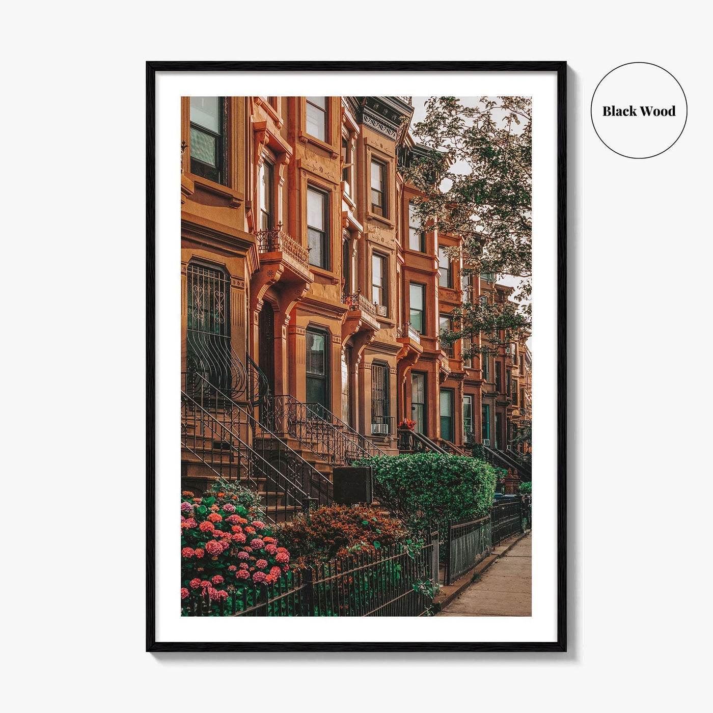 Bedford-Stuyvesant Fine Art Photo Print, Brooklyn Brownstones, NYC Wall Art Poster