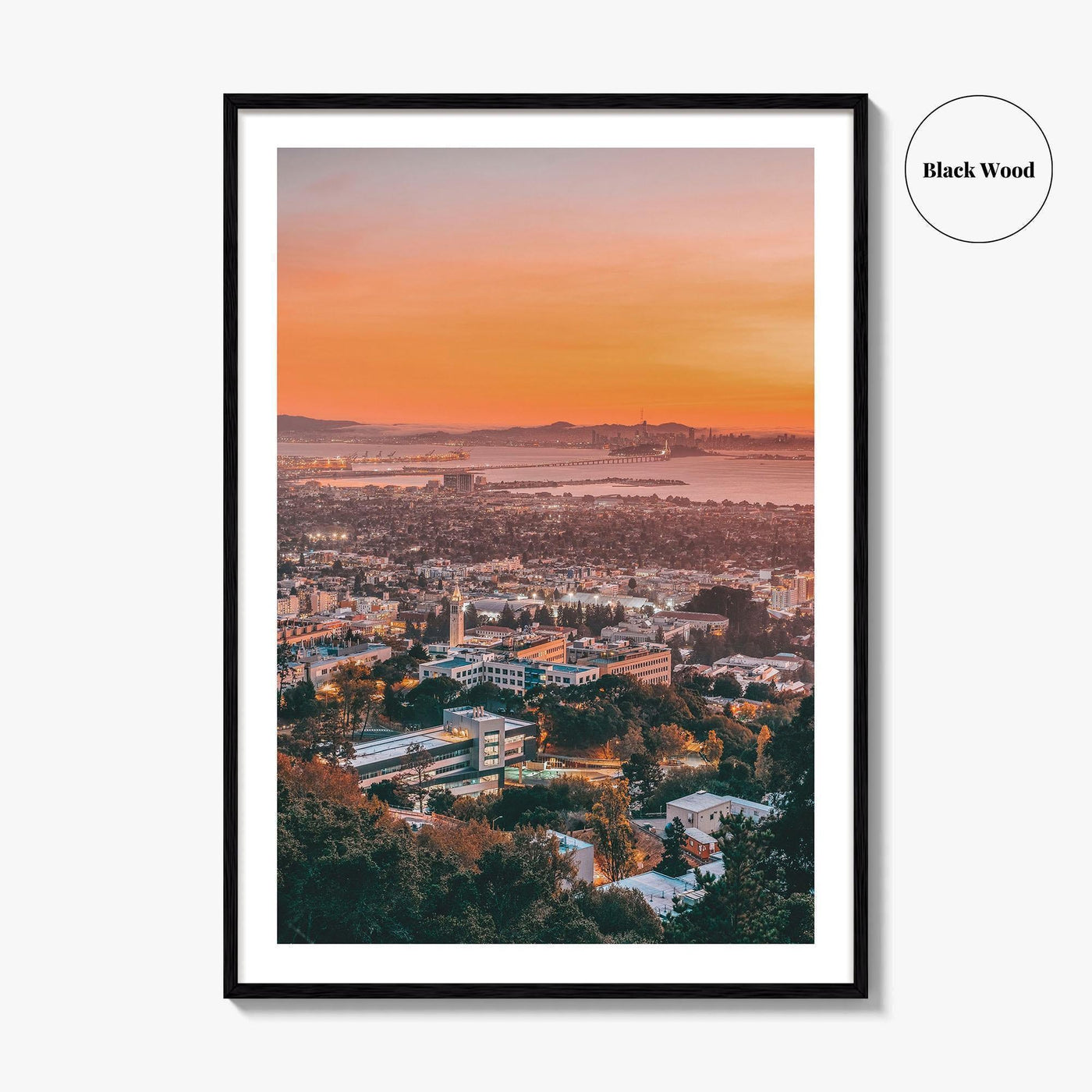Berkeley Fine Art Photo Print, California, Bay Area, Cal, Wall Decor Poster