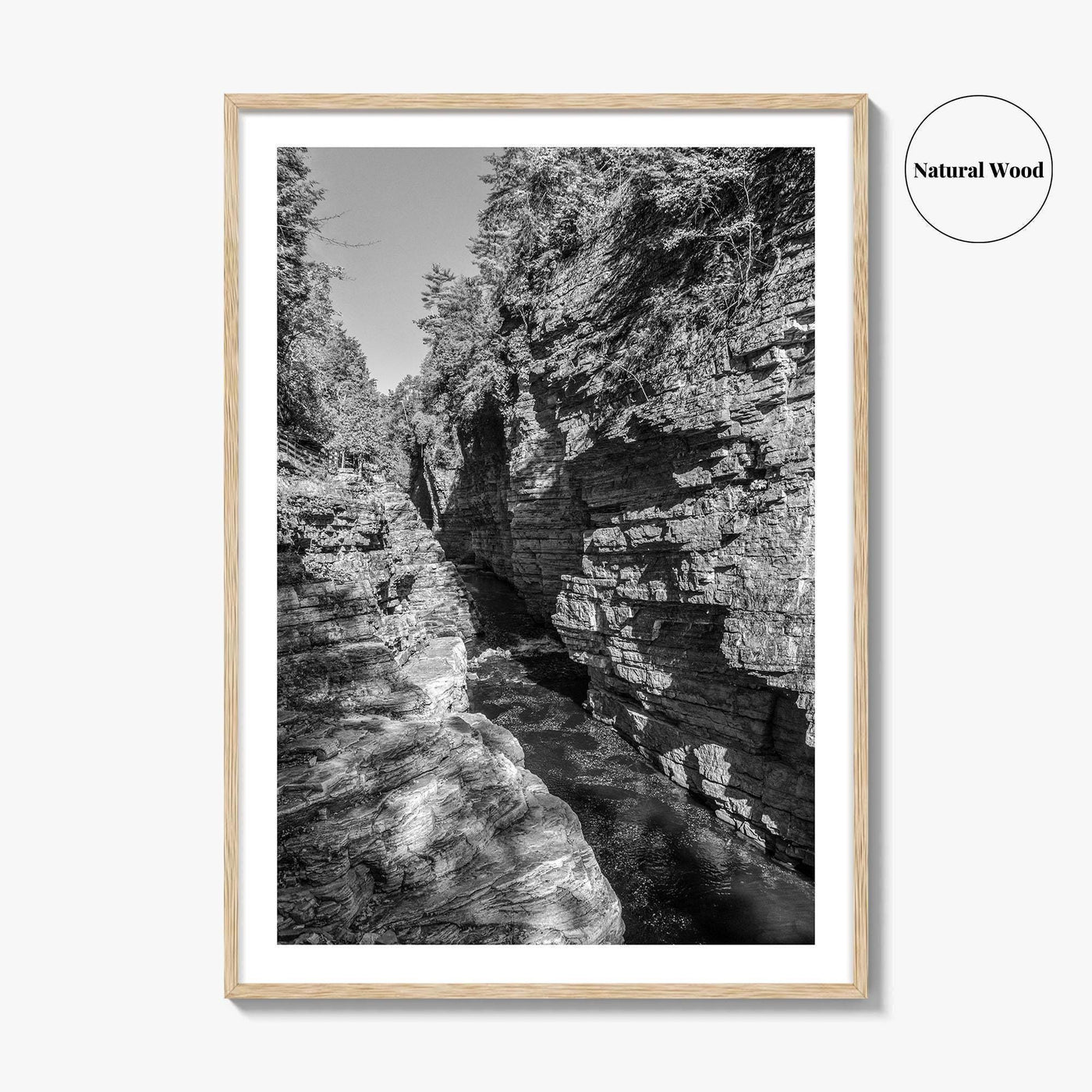 Ausable Chasm Black and White Fine Art Photo Print, Adirondack Mountains New York Poster
