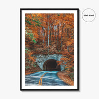 Asheville Fine Art Photo Print, Blue Ridge Parkway Tunnel, North Carolina Wall Poster