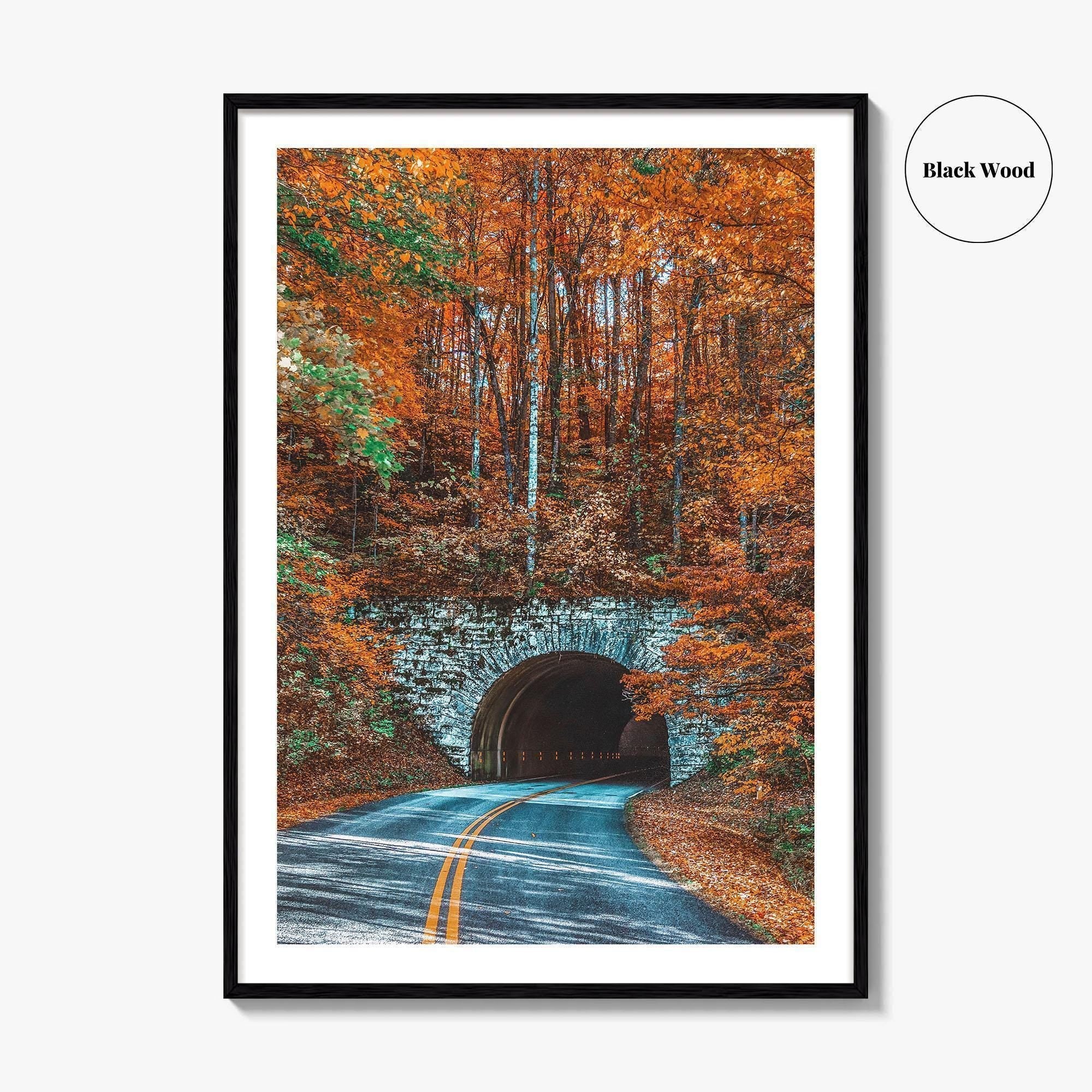 Asheville Fine Art Photo Print, Blue Ridge Parkway Tunnel, North Carolina Wall Poster