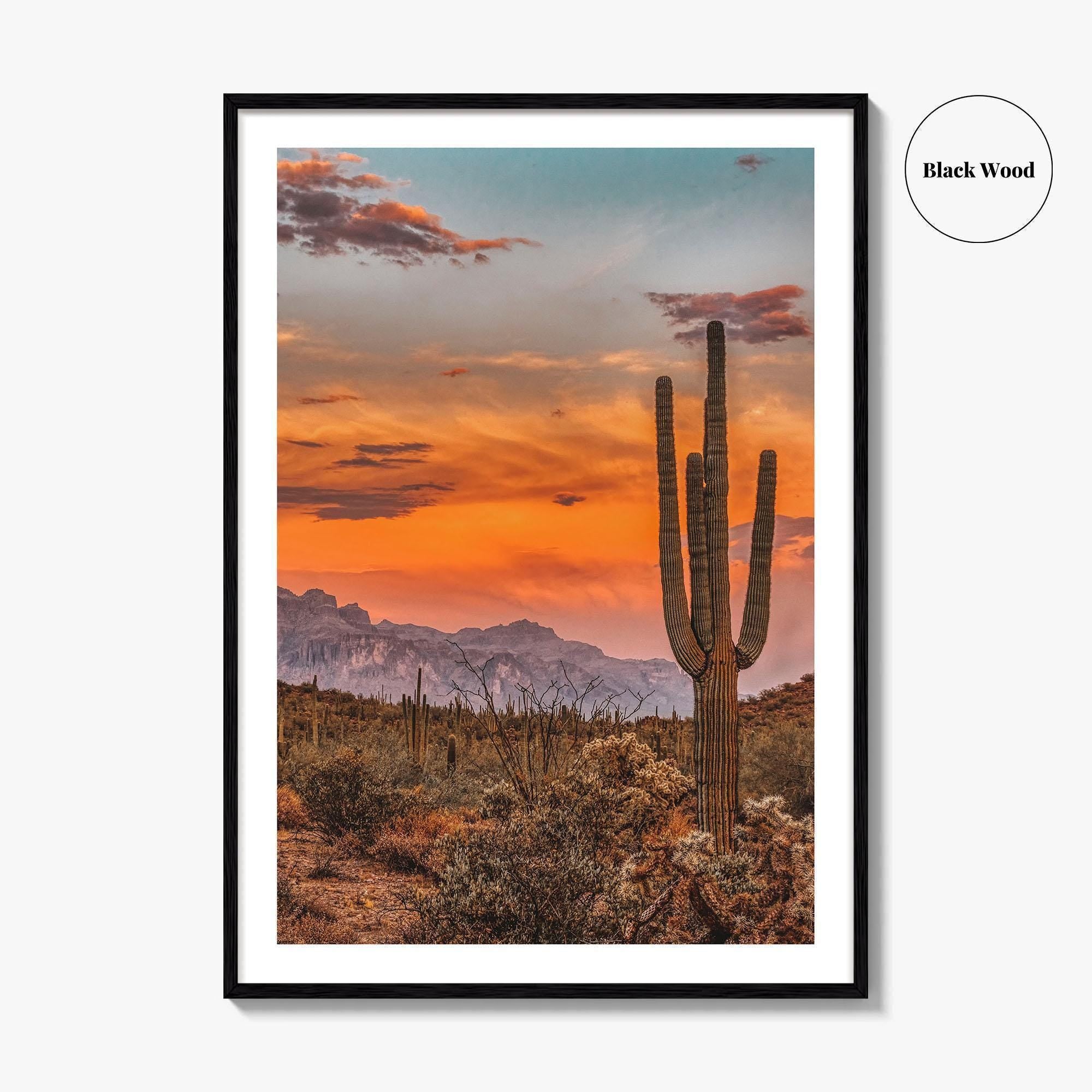 Arizona Fine Art Photo Print, Phoenix Sonoran Desert, USA Wall Decor Poster
