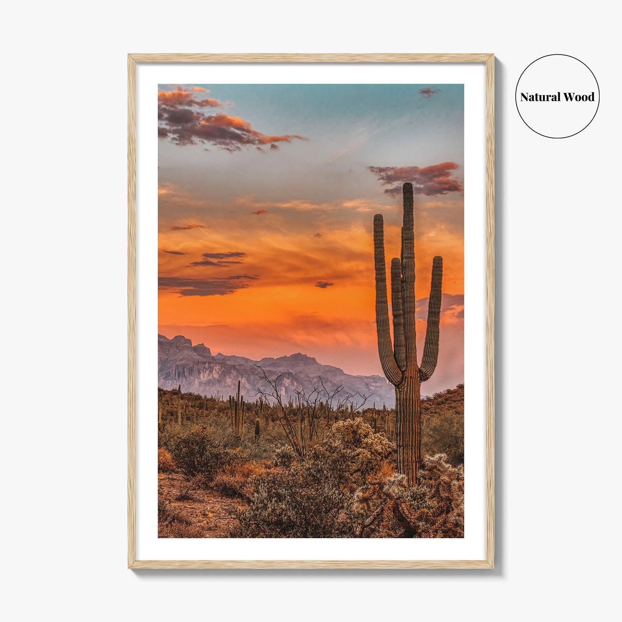 Arizona Fine Art Photo Print, Phoenix Sonoran Desert, USA Wall Decor Poster