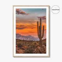 Arizona Fine Art Photo Print, Phoenix Sonoran Desert, USA Wall Decor Poster