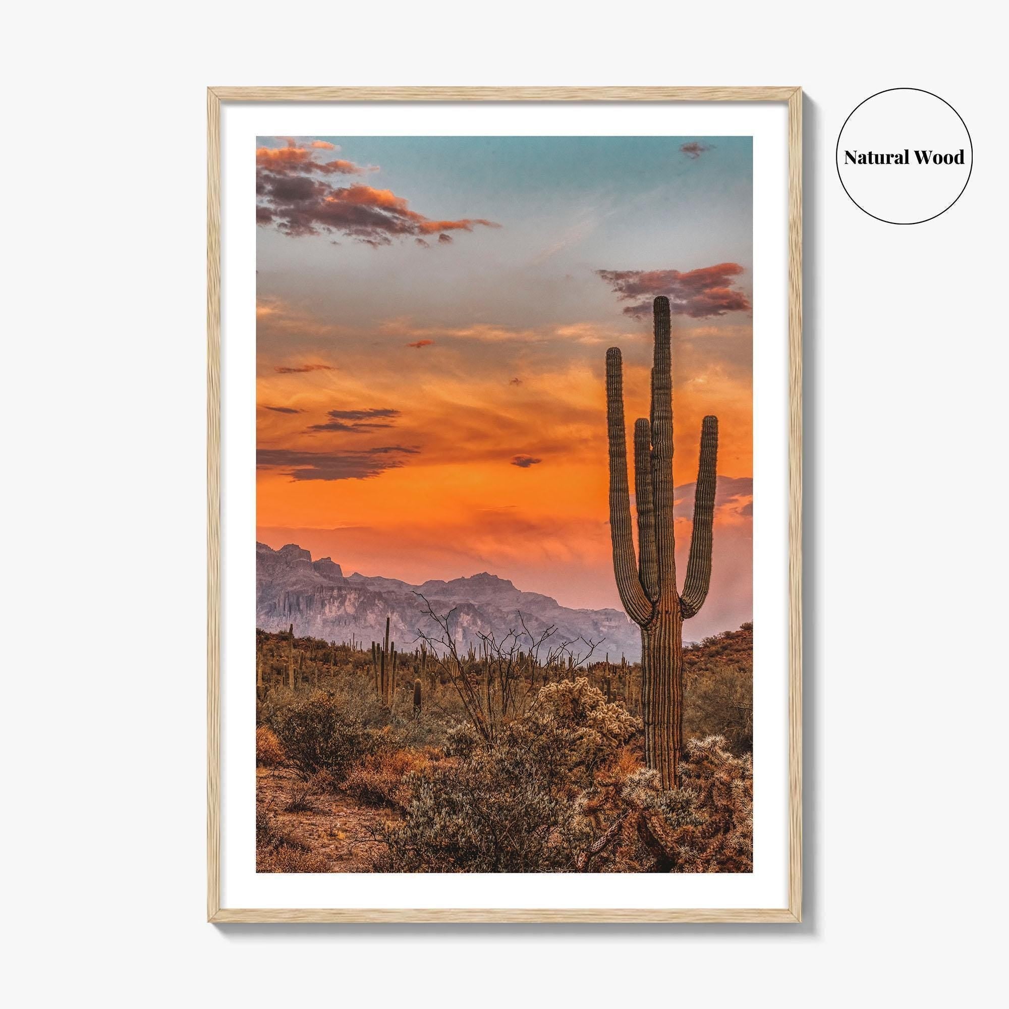 Arizona Fine Art Photo Print, Phoenix Sonoran Desert, USA Wall Decor Poster