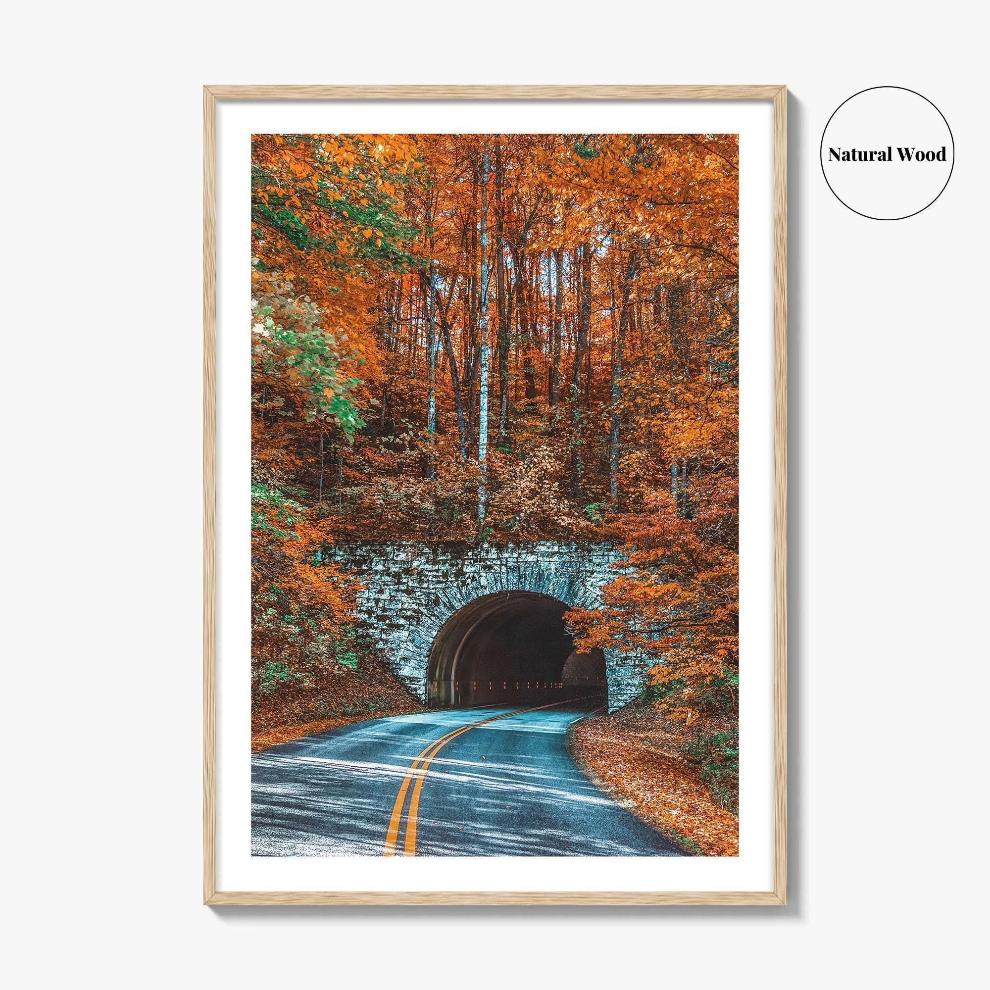 Asheville Fine Art Photo Print, Blue Ridge Parkway Tunnel, North Carolina Wall Poster