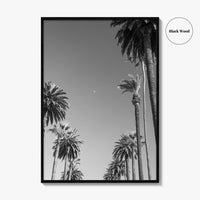 Beverly Hills Black and White Fine Art Photo Print, Los Angeles Palm Trees Poster