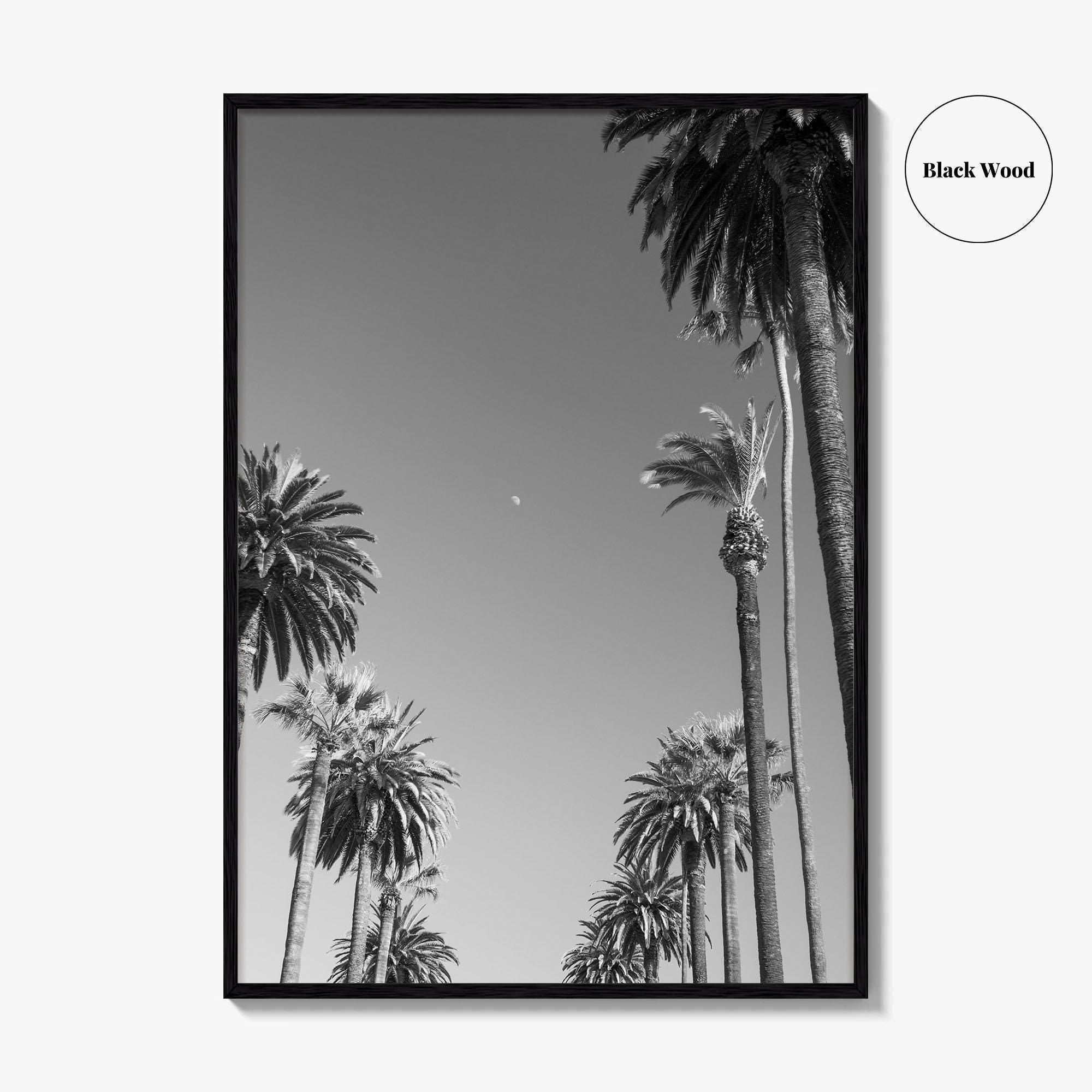 Beverly Hills Black and White Fine Art Photo Print, Los Angeles Palm Trees Poster