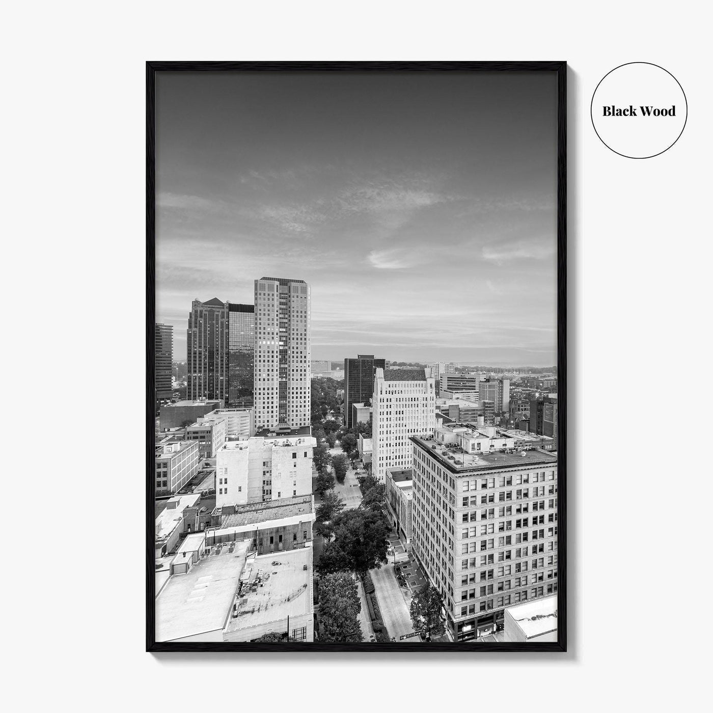 Birmingham Alabama Skyline Black and White Fine Art Photo Print, City, Alabama Poster